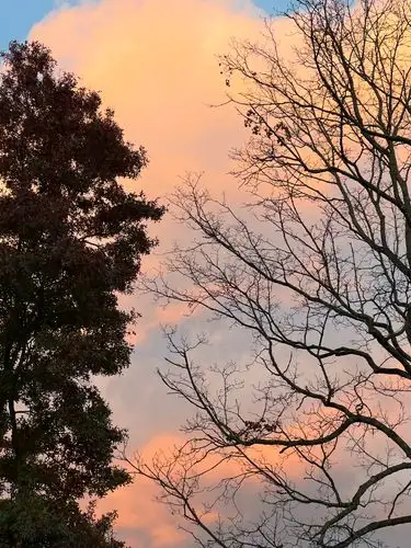 Golden hour dreams painted across the sky.